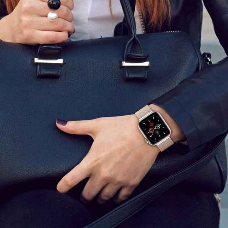 TECH-PROTECT MILANESEBAND APPLE WATCH 6 / 7 / 8 / 9 / 10 / SE (40 / 41 / 42 MM) SILVER