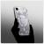 SPIGEN ULTRA HYBRID MAG MAGSAFE IPHONE 16E ZERO ONE WHITE